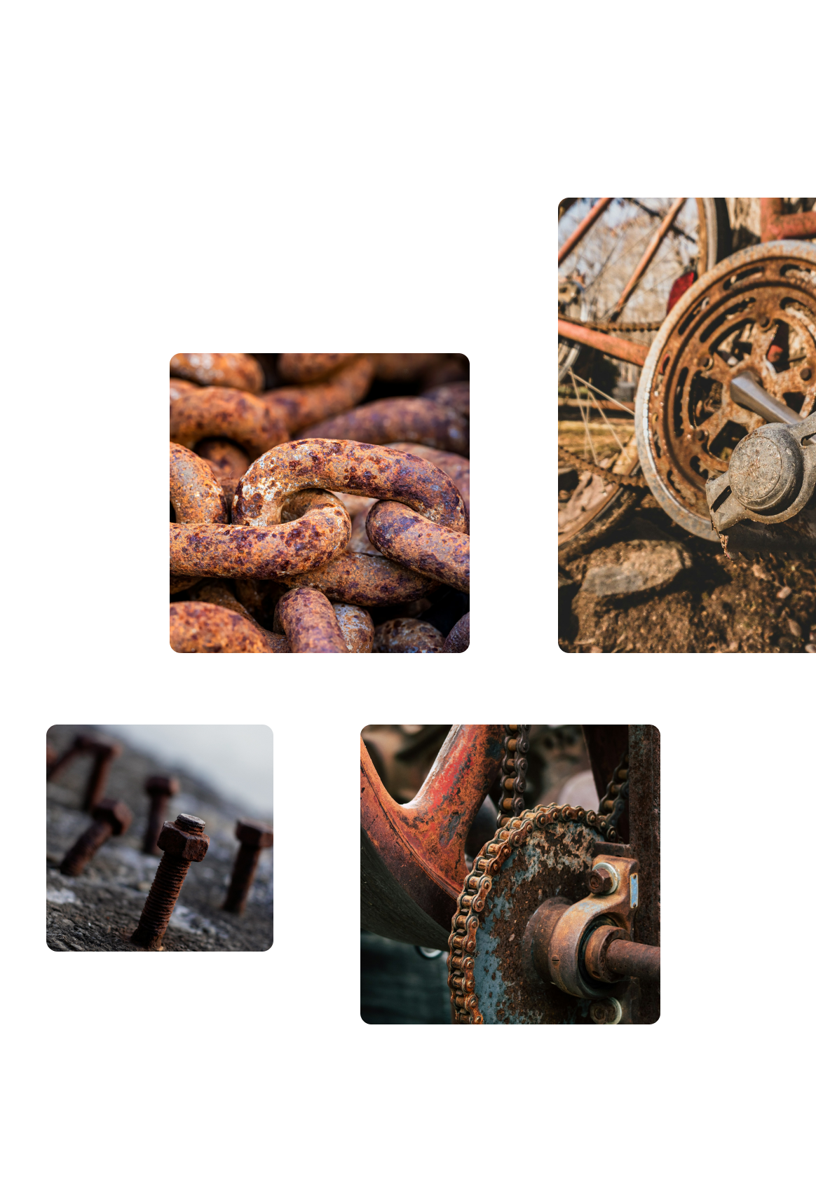 Collage Right Image